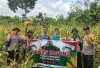 Desa Sugihan Panen Jagung Program Ketahanan Pangan