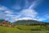 Hawa Sejuk Pegunungan, Kebun Teh Menghijau, Pagaralam Jadi Bintang Utama Destinasi Wisata di Sumsel
