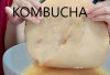 4 Manfaat Kombucha Untuk Kesehatan