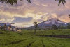 2 Destinasi Sejuk di Sumsel: Gunung Dempo & Danau Ranau, Surganya Healing dan Hunting Foto