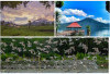 7 Wisata Alam Keren Persembahan Sumsel: 2 Menasional dan 5 Berkaliber Internasional, Save Liburan Juni 2025