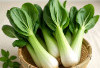 5 Dampak Negatif dari Sayur Sawi