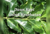 Daun Kopi untuk Kesehatan, Kamu Penasaran Simak Sini!