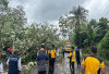 Gotong Royong Tebang Pohon Rawan Tumbang