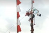 4 Makna Dari Perlombaan Panjat Pinang