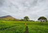 Ke Pagaralam Cuma Mau Foto? Sayang Banget, Nih 7 Hal Seru yang Wajib Dicoba!