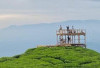 Kebun Teh Dempo Pagaralam: “Swiss” di Kaki Gunung Sumsel yang Viral di Medsos